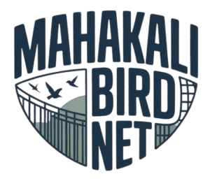 Logo-removebg-preview