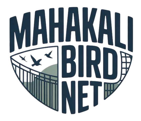 Logo-removebg-preview